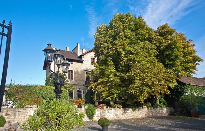 Landhotel Battenheimer Hof Bodenheim Exterior foto